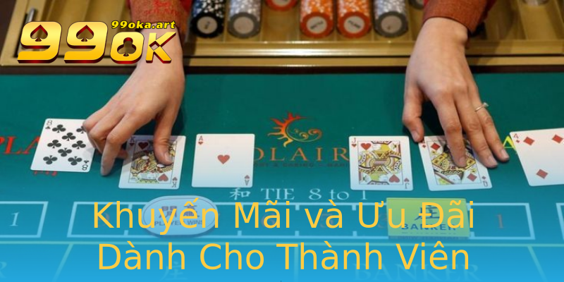 Khuyến Mãi và Ưu Đãi Dành Cho Thành Viên