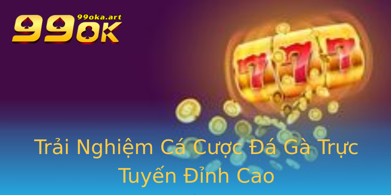 Trải Nghiệm Cá Cược Đá Gà Trực Tuyến Đỉnh Cao Trải Nghiệm Cá Cược Đá Gà Trực Tuyến Đỉnh Cao