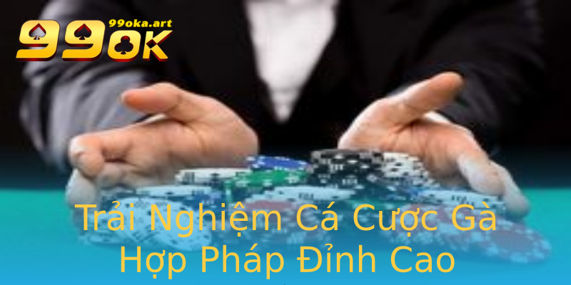 Trải Nghiệm Cá Cược Gà Hợp Pháp Đỉnh Cao Trải Nghiệm Cá Cược Gà Hợp Pháp Đỉnh Cao